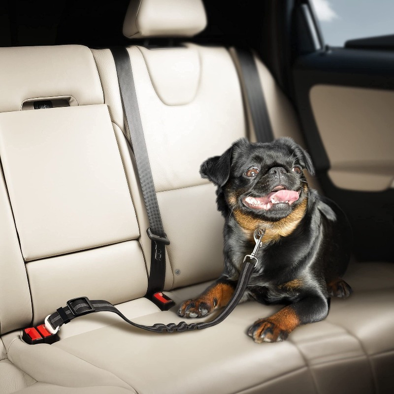 Inklapbare hondenautogordelset - Snap Fastener Setter recensie en prijs